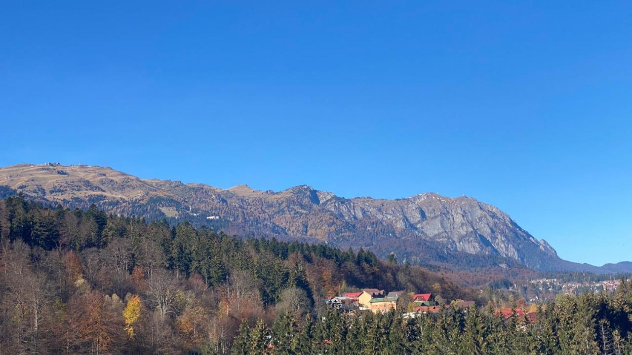 Perfect View Apartment Sinaia Zewnętrze zdjęcie